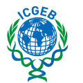 International Centre for Genetic Engineering and Biotechnology (ICGEB)