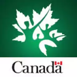 Canadian Institutes of Health Research (CIHR) Scholarship programs