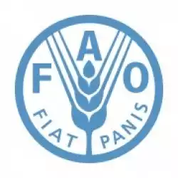 Food and Agriculture Organization (FAO)