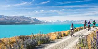 A group of people cycling beside a lake.