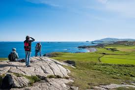 4 people standing on the cliff of the ocean and enjoying the view and taking pictures. 